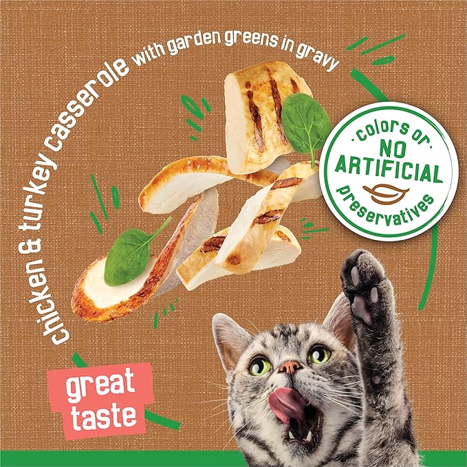 Purina Friskies Indoor Cat Food Chunky Chicken and Turkey Casserole With Garden Greens in Gravy 24/5.5 Oz - (Pack of 24) 5.5 Oz. Cans