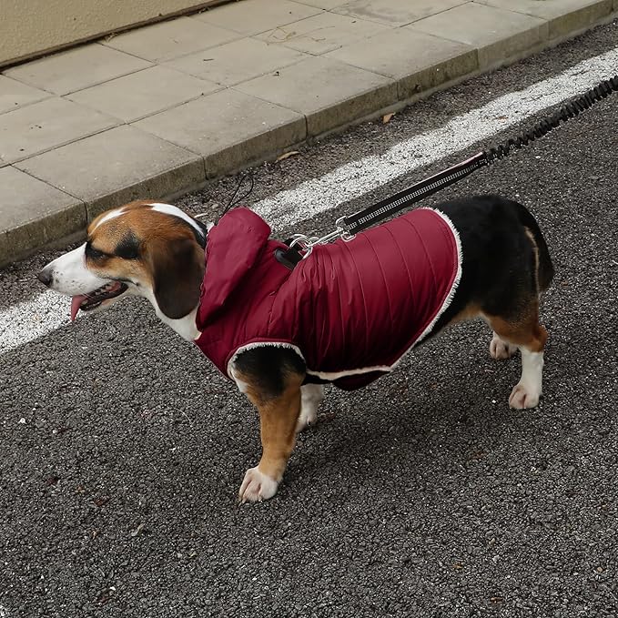 Fleece Lining Dog Hoodie with Harness Built in,Extra Warm Small Dog Jacket in Winter Puppy Coats with Drawstring Hooded,Red S