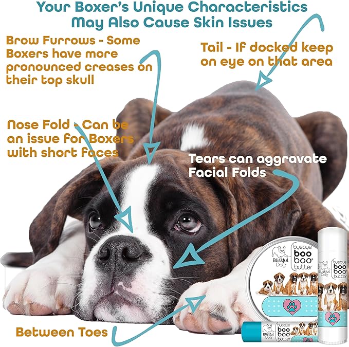 The Blissful Dog BB-BOXER-16OZ Boxer Boo Butter, 16 oz.