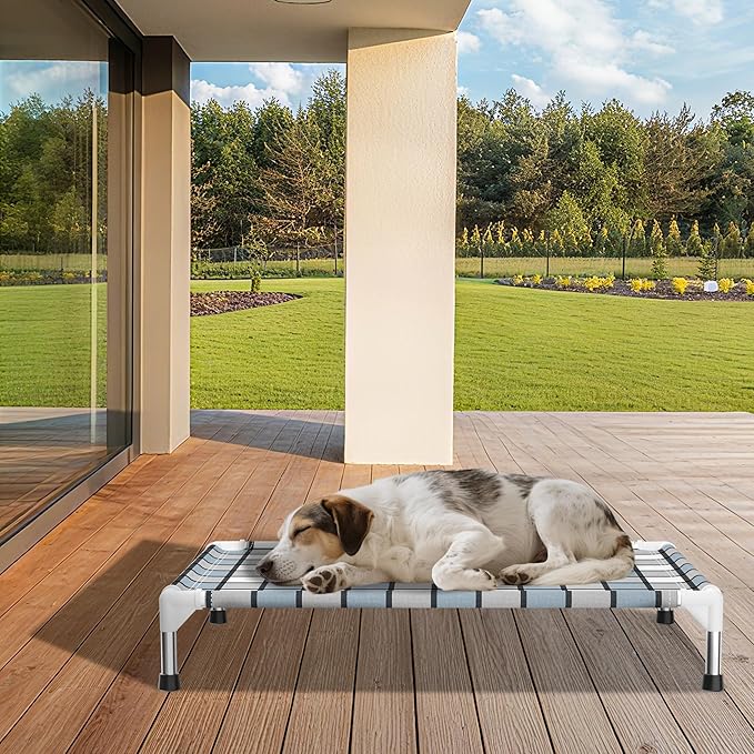 Elevated Outdoor Raised Dog Bed Outdoor Dogs Bed Lifted Pet Bed Dog Cot for Medium Pet Taste Life, Start with A Pet Bed 34'' x 26'' x 6.5''