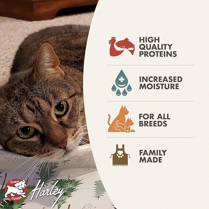 Fromm Indoor Gold Chicken & Salmon Pate Cat Food - Premium Wet Cat Food - Chicken Recipe - Case of (12) 3 oz Cans