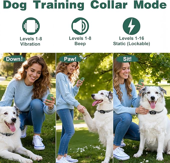 4-in-1 Wireless Dog Fence System Electric Dog Fence with Training Collar & Anti-Bark Collar | Real-Time Pet Status Display | Portable Waterproof Outdoor Pet Containment System