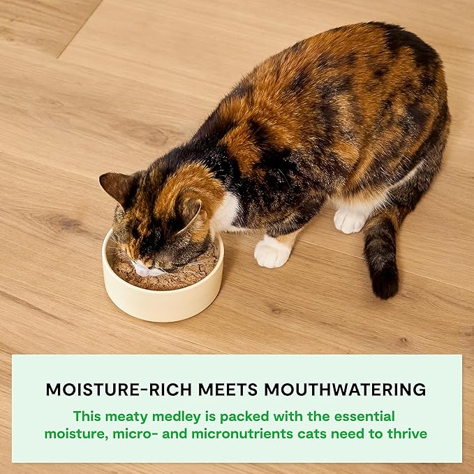 Open Farm Rustic Blend Wet Cat Food, Complete & Balanced Medley with Human-Grade Ingredients, Humanely-Raised Meat, Non-GMO Veggies & Bone Broth, Harvest Chicken Recipe, 5.5oz Packs (Case of 12)