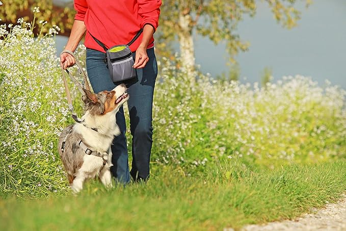 Pets First Dog Treat Training Pouch - Treat Bag for Kibble, Food, Toys, Accessories with Built-in Poop Bag Dispenser - Holder for Small, Medium & Large Dogs & Puppies with Multiple Ways to Wear