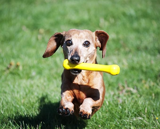 Jolly Pets Jolly Bone, Small/Yellow