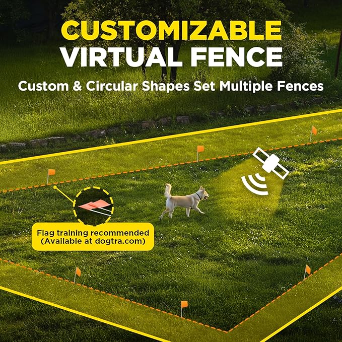 Dogtra Training Flags for GPS Fence/Smart Fence – 50-Pack Neon Orange Boundary Markers – Flexible, Weather-Resistant Yard Flags for Wireless Fence Training, Pet Containment, Safe Outdoor Setup