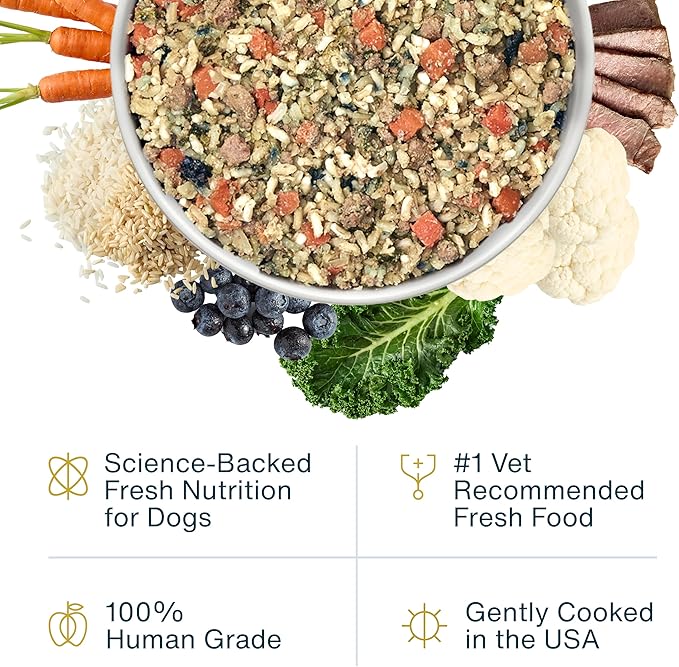 JustFoodForDogs Vet RX Pantry Fresh Prescription Dog Food, Human Grade, Vet Recommended Fresh Pet Meal or Toppers, Limited Ingredient, Prescription Diet, Renal Support Low Protein (12.5oz, 12 Pack)