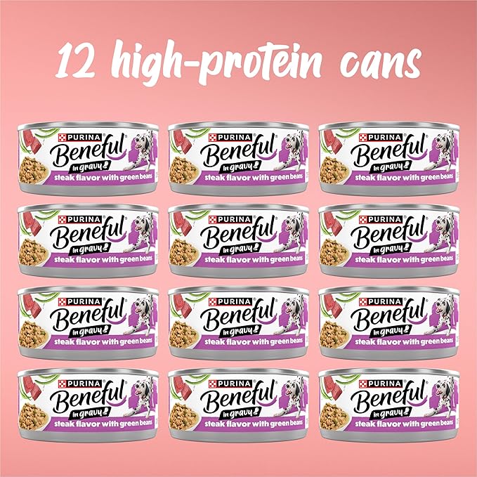 Purina Beneful Steak Flavor with Green Beans Wet Dog Food in Dog Food Gravy - 5.5 oz Can (Pack of 12)