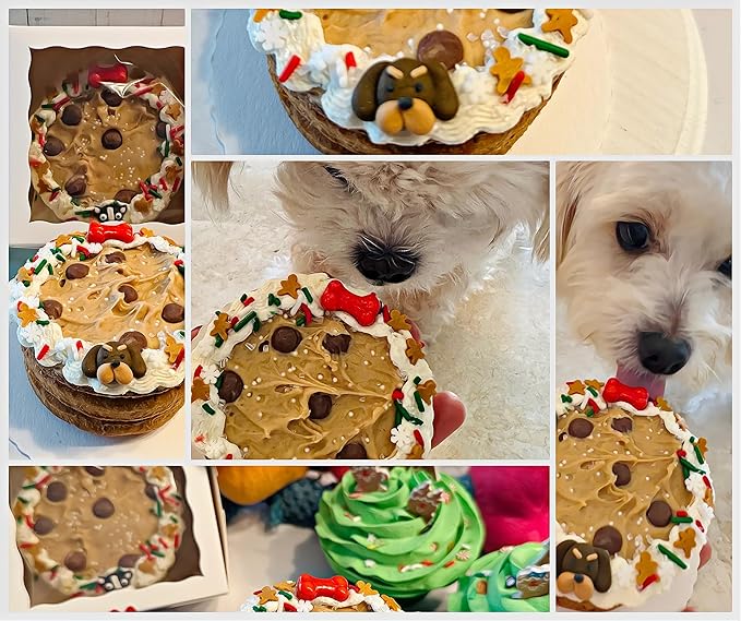 Dog Birthday Cake- Puppy Party Christmas Cookie Gift- Bad to The Bone- Perfect Dog Treat Boxed & Decorated for Dogs