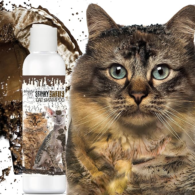 The Blissful Dog Stinky Smelly Cat Shampoo, 4-Ounce