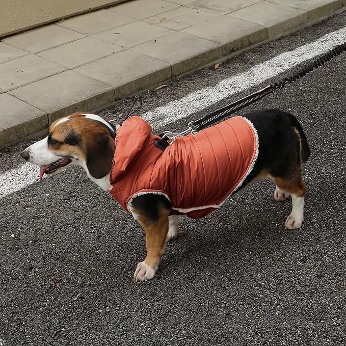 Fleece Lining Dog Hoodie with Harness Built in,Extra Warm Small Dog Jacket in Winter Puppy Coats with Drawstring Hooded,Orange XS