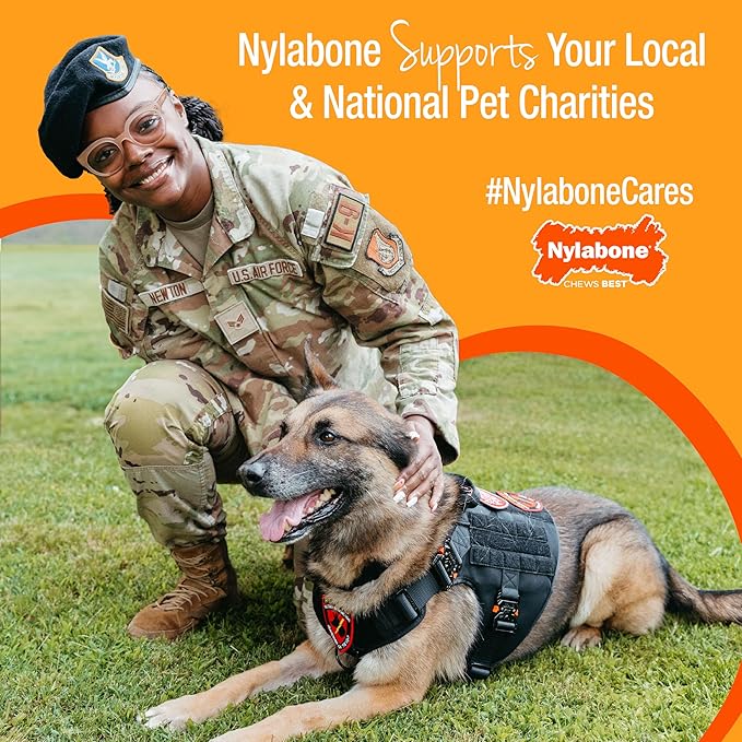 Nylabone Ring Bone & Teething Bone Puppy Chew Toy for Dogs, Soothing Puppy Teething Toys, Puppy Enrichment Toys, Long Lasting Chicken Flavor, Medium Dogs - Up to 35 lbs, 2 Pack