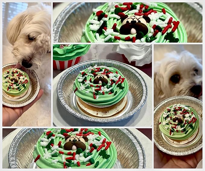 Dog Christmas Cake Treat
