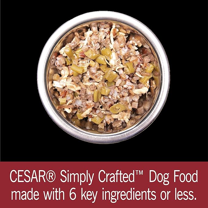 CESAR SIMPLY CRAFTED Adult Soft Wet Dog Food Meal Topper Beef, Chicken, Purple Potatoes, Green Beans & Red Rice, (10) 1.3 oz. Tubs