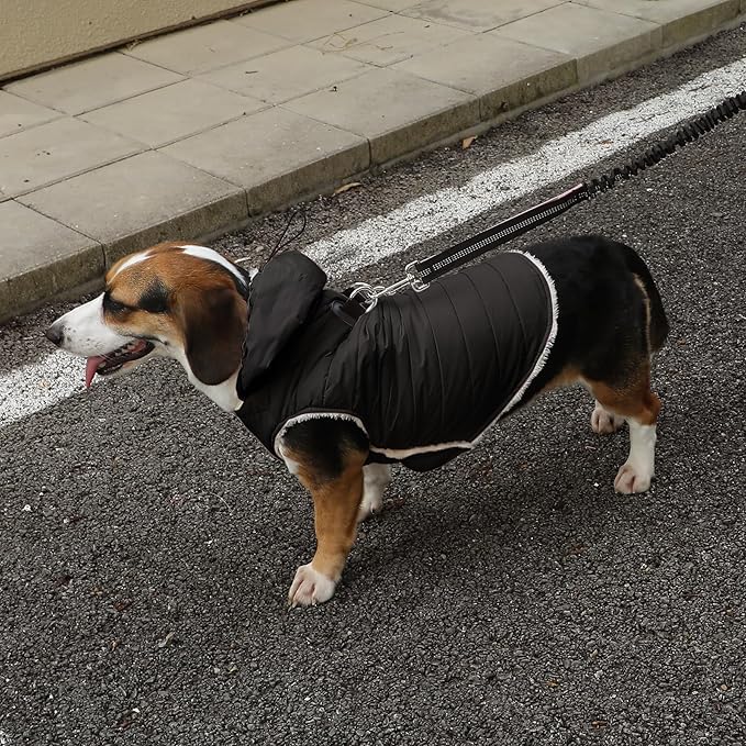 Fleece Lining Dog Hoodie with Harness Built in,Extra Warm Small Dog Jacket in Winter Puppy Coats with Drawstring Hooded,Black XS