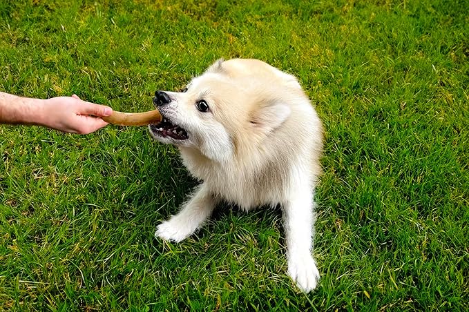 Coffee Wood Toys for Dog - Gorilla Chew, Natural Dog Bone Alternative, Durable, Long Lasting ...(S (Single)