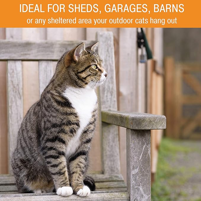 K&H Pet Products Outdoor Heated Cat Food & Water Bowls for Outside Pets, Thermo-Kitty Café Feral Cat Feeding Station, No Frozen Water or Food, Washable Bowls, Safety Listed - 12oz/24oz Stainless