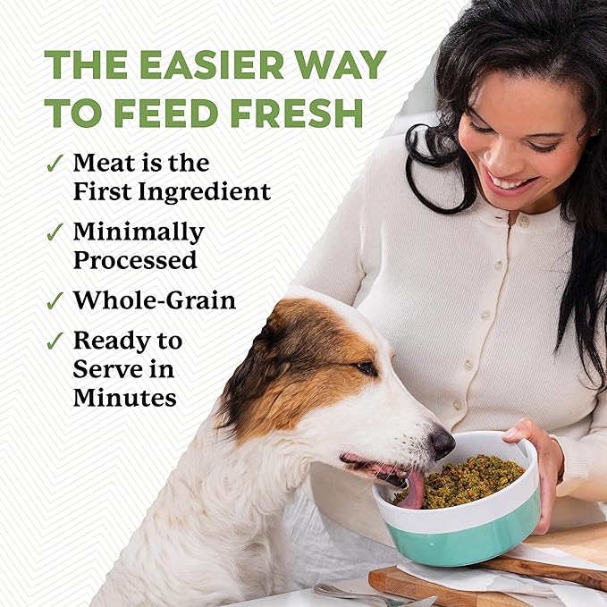 Dr. Harvey's Beef & Garden Veggies Dog Food, Human Grade Whole-Grain Dehydrated Dog Food with Freeze-Dried Beef (5 Pounds)