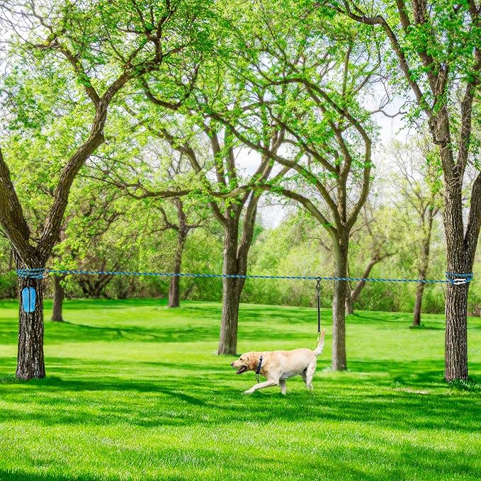XiaZ Dog Tie Out Cable for Camping, 50ft Portable Overhead Trolley System for Dogs up to 200lbs，Dog Lead for Yard, Camping, Parks, Outdoor Events,5 min Set-up, Blue