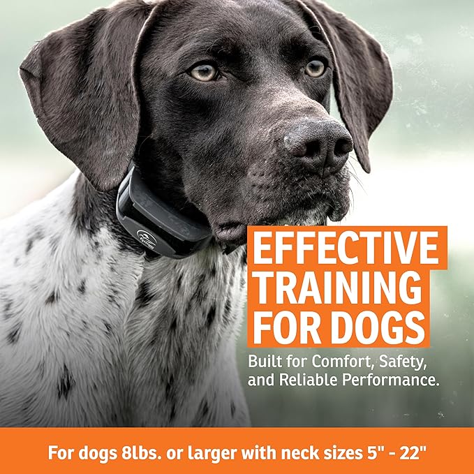 SportDOG SportHunter 1225X/1825X Add-A-Dog Collar - Expandable Training Collar - Waterproof Receiver - Quick Charge - Adjustable Strap - Green