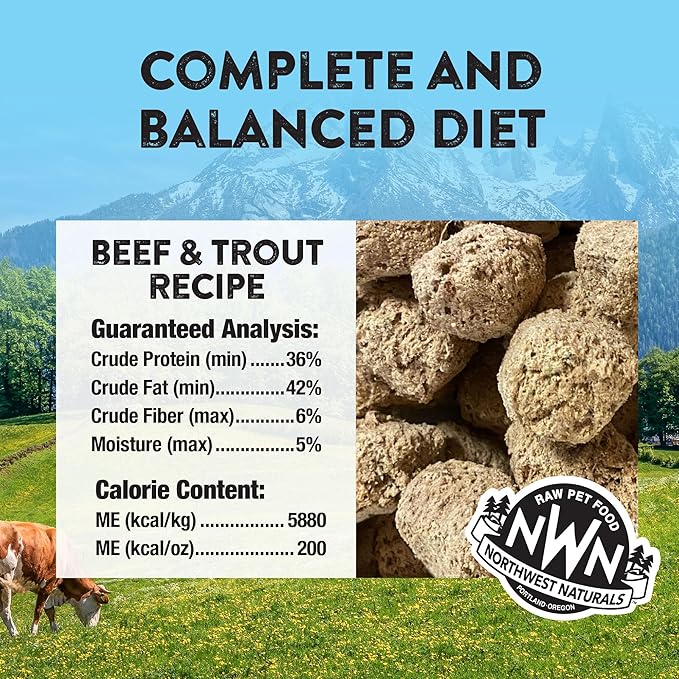 Northwest Naturals Freeze-Dried Beef & Trout Dog Food - Bite-Sized Nuggets - Grain-Free, High-Protein, Raw Diet, Human-Grade Ingredients, All Natural, Omega-3 for Skin & Coat - 12 Oz (Pack of 2)