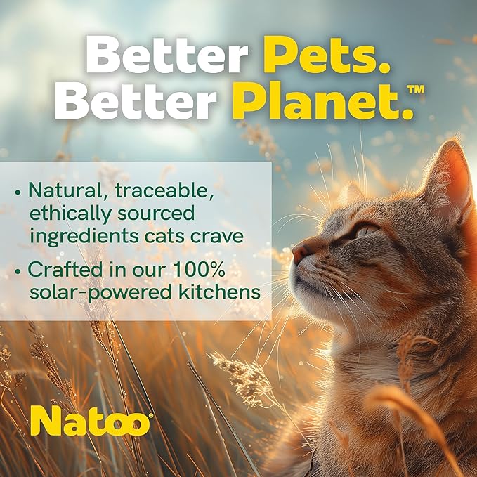 NATOO Cat Food Topper & Soft Treat Variety, Healthy High Protein Gravy Mix-Ins, Limited Ingredient Recipe, for Adults and Kittens, 2.4 oz Pouches, 12 Pack (4 Flavors)