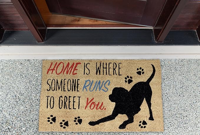 DII Pet Print Collection Natural Coir Doormat, 17x29, Home Dog