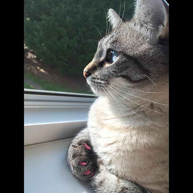 Soft Nail Caps 60 Packs for Cats - Green Glitter Medium