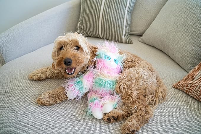 Flourish Pets 3 in 1 Multi-Layer Chew Toy for Active Dogs | Non-Toxic BPA Free Double Stitched Soft Fabric Exterior Dog Toys | Long-Lasting Dog Plush Toys - Large Yeti/Sloth 5"