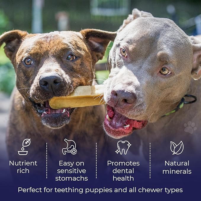 Devil Dog Pet Co. Himalayan Yak Cheese Dog Chews, Large - 4 Pack, 100% Natural & Healthy, Lactose-Free, Long-Lasting Dog Treats, Premium Yak Milk Chew Bones for Dogs