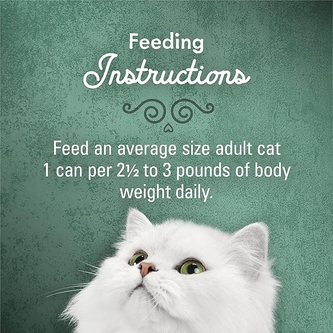 Purina Fancy Feast Medleys in Gravy Beef Ragu Recipe with Tomatoes and Pasta in a Savory Sauce - (Pack of 24) 3 oz. Cans