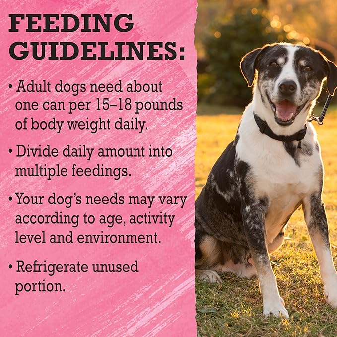 Purina Beyond High Protein, Grain Free, Natural Pate Wet Dog Food, WILD Beef, Liver & Lamb Recipe - (12) 13 oz. Cans