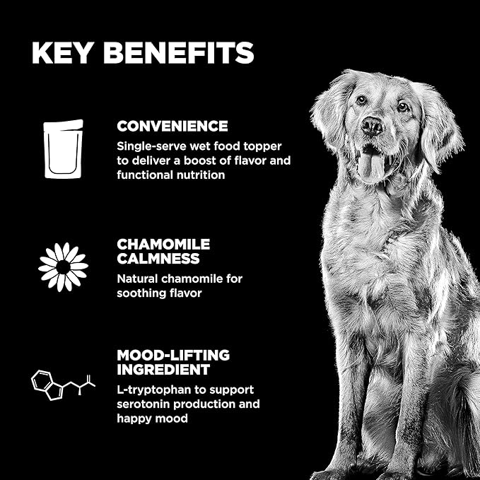 Go! Solutions Tranquility Chicken, Salmon + Duck Stew Gravy Topper for Dry Food with Broth, Healthy Wet Dog Treat to Support a Happy Mood, for Puppies, Adults, & Seniors, 2.8 oz Pouch (12 Pack)