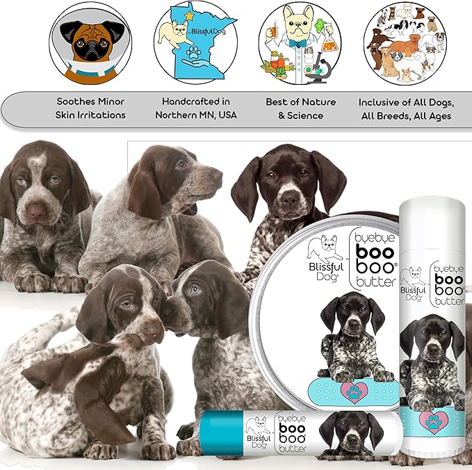 The Blissful Dog .50 oz Tube German Shorthaired Pointer Booboo Butter