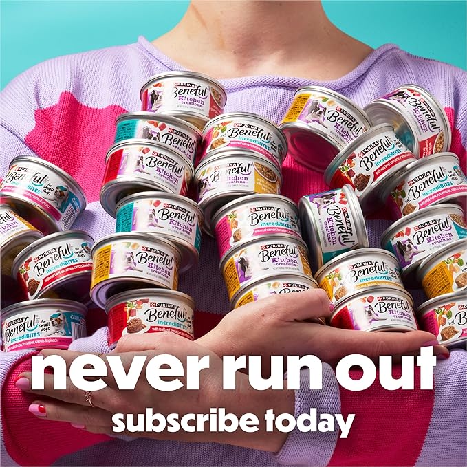 Purina Beneful Small Breed Wet Dog Food, Incredibites Loaf With Real Beef Recipe - (Pack of 12) 3 oz. Cans