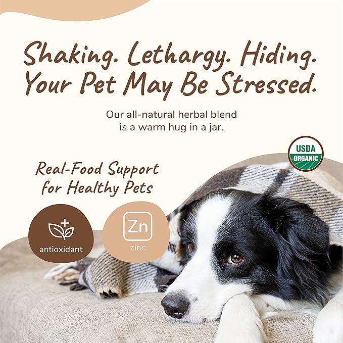kin+kind Calm Power Supplement for Dogs and Cats – Natural Dog Calming and Cat Calming Support with Organic Chamomile, Thyme, Apple Pomace, Ginger & Coconut – Vet Formulated - Made in USA – 8 oz
