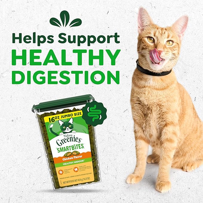 Greenies Feline Smartbites, Cat Treats Healthy Recipe, Indoor Cat Treats, Chicken Flavor, 16 oz. Tub