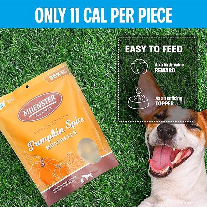 Muenster Freeze Dried Pumpkin Meatball Dog Treats 4 oz - Grain Free, Made in USA