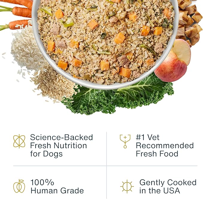 JustFoodForDogs Pantry Fresh Wet Dog-Food, Complete Meal or Dog Food Topper, Chicken & White Rice Human Grade Dog-Food Recipe - 12.5 oz, (Pack of 24)