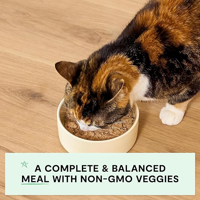 Open Farm Canned Kitten Food, Pate for Complete & Balanced Nutrition, Grain Free and Legume-Free Wet Kitten Food, Chicken & Salmon Recipe, 5.3oz Cans (Case of 12)