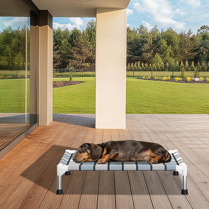 Elevated Outdoor Raised Dog Bed Outdoor Dogs Bed Lifted Pet Bed Dog Cot for Pet Taste Life, Start with A Pet Bed 26'' x 20'' x 6.5''