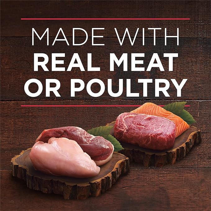 Purina ONE True Instinct Tender Cuts in Gravy with Real Chicken and Duck, with Real Beef and Salmon High Protein Wet Dog Food Variety Pack - (Pack of 1) 13 oz. Cans