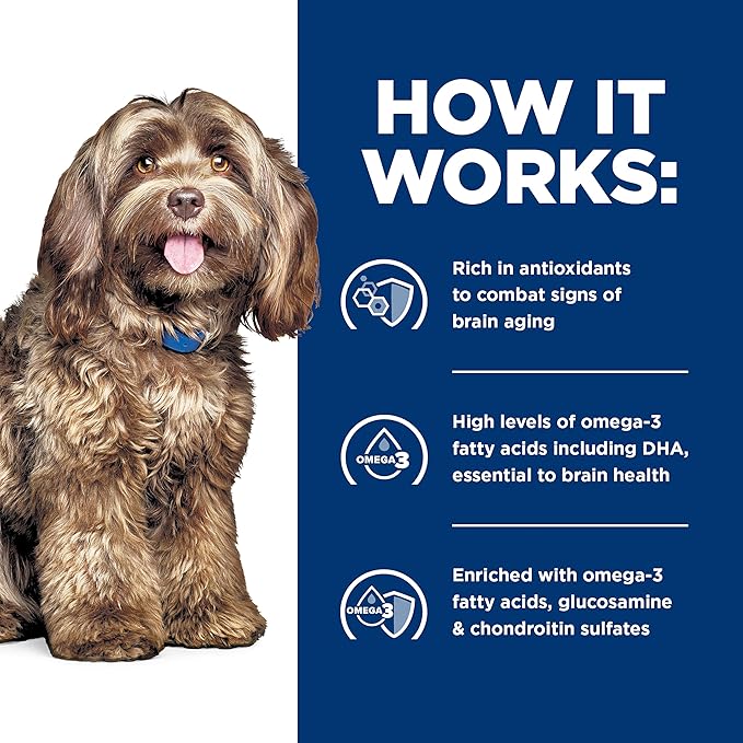 Hill’s Prescription Diet Brain Care + j/d Joint Care Rice & Turkey Wet Dog Food, 12 x 13 oz case