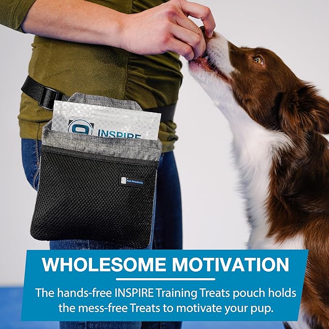 Blue-9 Happy Dog Starter Bundle with KLIMB Dog Training Platform & Traction Mat and Inspire Training Treat Pouch & Training Treats, Tan