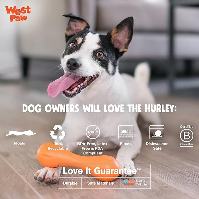 West Paw Zogoflex Hurley Dog Bone Chew Toy – Floatable Pet Toys for Aggressive Chewers, Catch, Fetch – Bright-Colored Bones for Dogs – Recyclable, Dishwasher-Safe, Non-Toxic, X-Small, Tangerine
