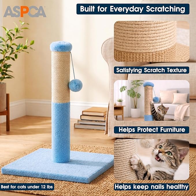 ASPCA Cat Scratching Post for Indoor Cats – Compact Sisal Rope Scratcher with Hanging Teaser Toy – Space-Saving Scratching Post for Kittens & Small to Medium Cats