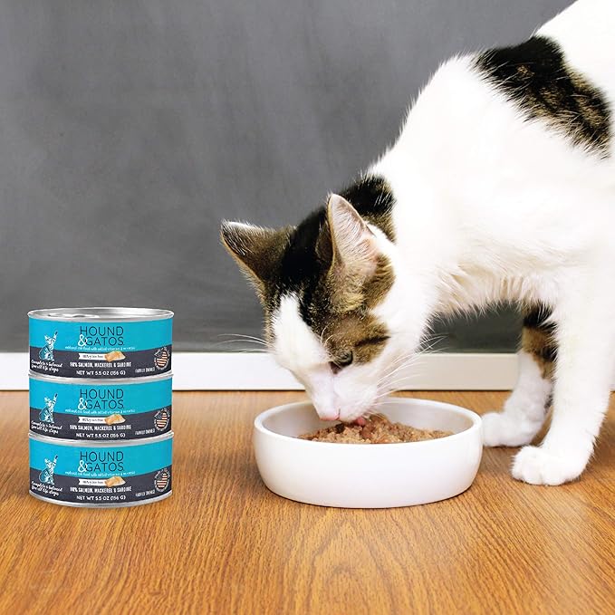Hound & Gatos Wet Cat Food, 98% Salmon, Mackerel & Sardine, case of 24, 5.5 oz cans