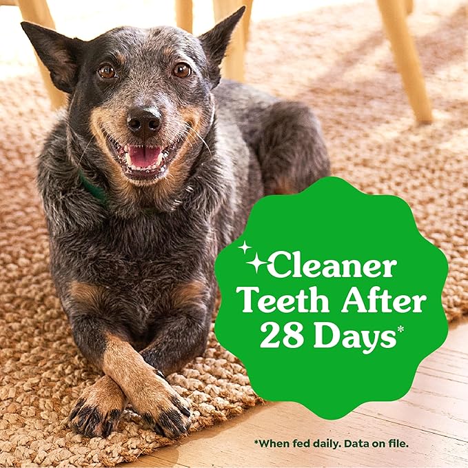 Greenies Veterinarian-Recommended Adult Natural Dental Dog Treats Large Size, Dog Dental Chews, Original Flavor, 54 oz. Pack, 34 Count