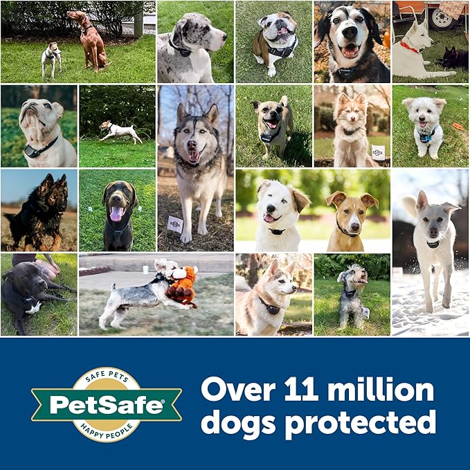 PetSafe Elite Little Dog In-Ground Fence for Dogs and Cats Over 5 lb, Waterproof with Tone and Static Correction - Invisible Dog Fence with Electric Collar for Small Pets