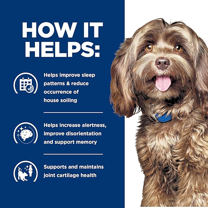 Hill’s Prescription Diet Brain Care + j/d Joint Care Rice & Turkey Wet Dog Food, 12 x 13 oz case